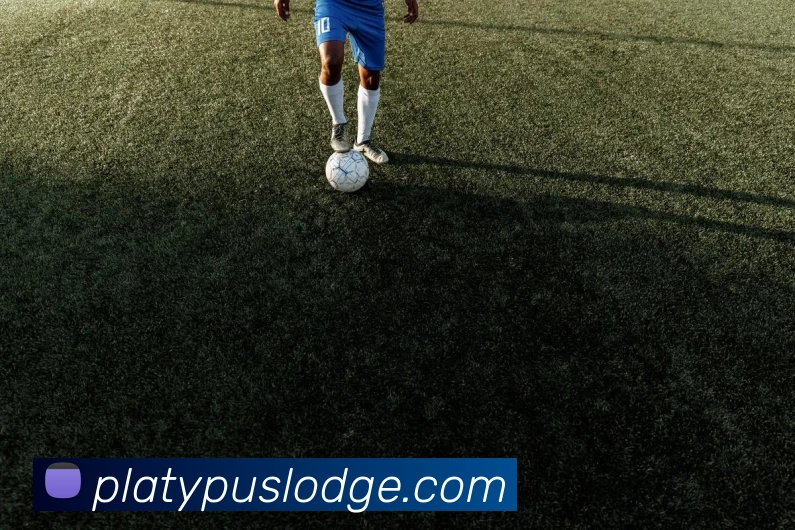 奖项证书